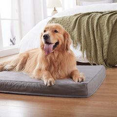 WATANIYA PET Memory Foam Soft Rose Plush Dog Bed, Non Slip Bottom, Washable Pet Bed Mattress