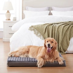 WATANIYA PET Memory Foam Soft Rose Plush Dog Bed, Non Slip Bottom, Washable Pet Bed Mattress