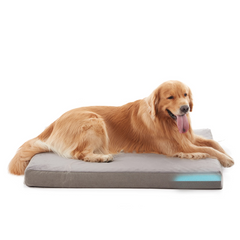 WATANIYA PET Memory Foam Soft Rose Plush Dog Bed, Non Slip Bottom, Washable Pet Bed Mattress