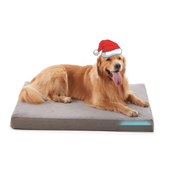 WATANIYA PET Memory Foam Soft Rose Plush Dog Bed, Non Slip Bottom, Washable Pet Bed Mattress